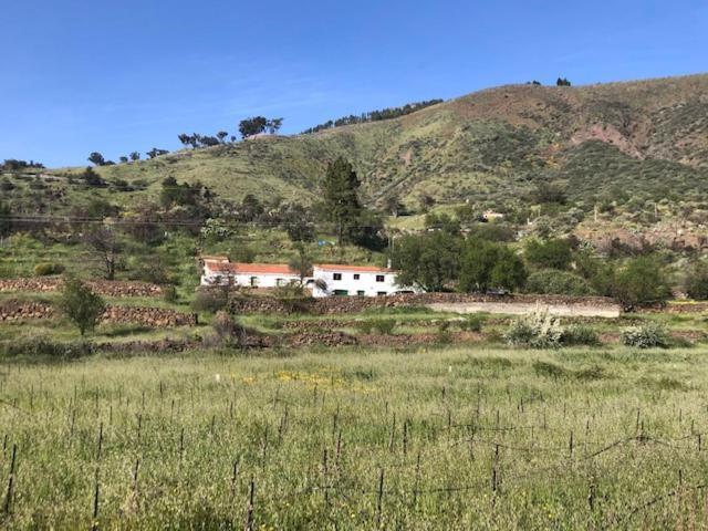 Casa-Finca El Maipez De Tejeda Las Palmas de Gran Canárias Exterior foto