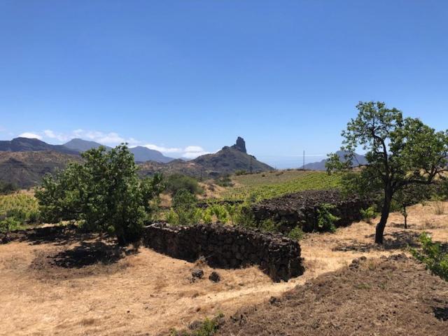 Casa-Finca El Maipez De Tejeda Las Palmas de Gran Canárias Exterior foto